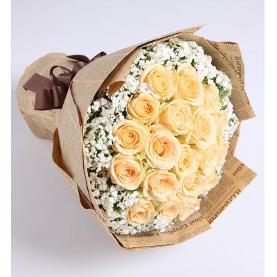 阳光海岸-19枝香槟玫瑰，白色石竹梅10枝