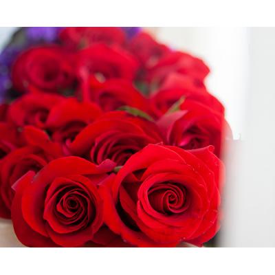 一往情深-19枝红玫瑰，勿忘我0.1扎