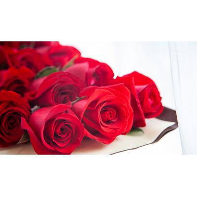 一往情深-19枝红玫瑰，勿忘我0.1扎