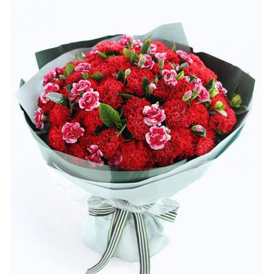 幸福万年长-红色康乃馨52枝，搭配白边紫色多头康乃馨15枝，栀子叶2扎