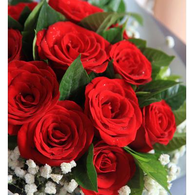致美丽的你-红玫瑰11枝，满天星0.3扎，栀子叶0.5扎