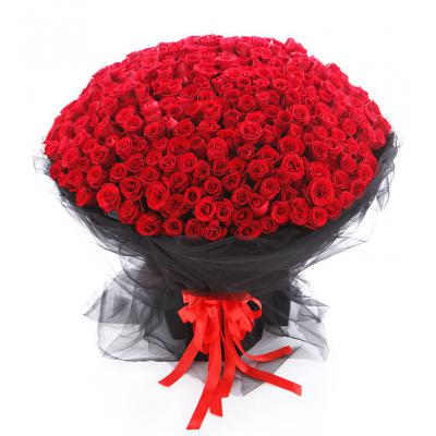 想你365天-365枝红玫瑰