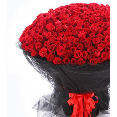 想你365天-365枝红玫瑰