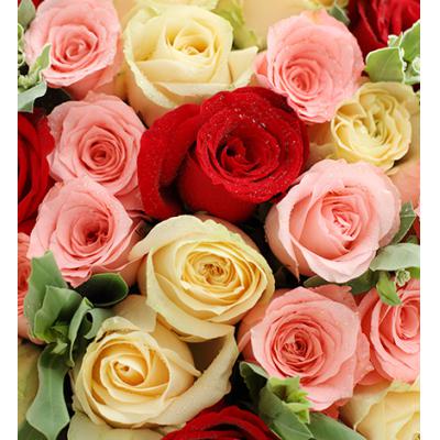 甜蜜纪事-玫瑰共50枝：红玫瑰11枝、香槟玫瑰19枝、戴安娜粉玫瑰20枝、叶上花10枝