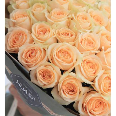 天天天晴-香槟玫瑰66枝