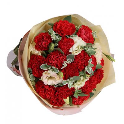 妈妈的爱-红色康乃馨16枝，香槟色桔梗3枝，叶上花8枝