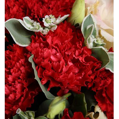 妈妈的爱-红色康乃馨16枝，香槟色桔梗3枝，叶上花8枝