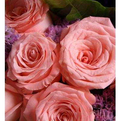 依靠-戴安娜粉玫瑰12枝，紫色桔梗5枝，粉色勿忘我3枝，栀子叶0.5扎