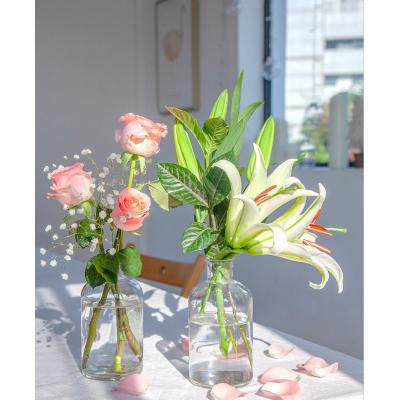 为爱相随-多头百合1枝，戴安娜粉玫瑰11枝，满天星0.3扎、栀子叶1扎