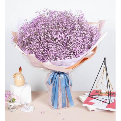 满天星-浅紫满天星2扎