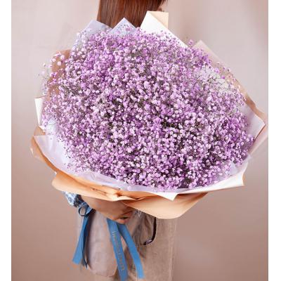 满天星-浅紫满天星2扎