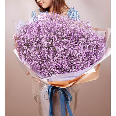 满天星-浅紫满天星2扎