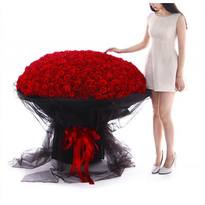 爱到永久-999枝红玫瑰