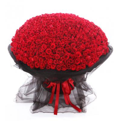 爱到永久-999枝红玫瑰