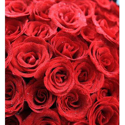 嫁给我吧-红玫瑰108枝