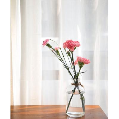 暖暖满怀-粉色康乃馨99枝、粉色多头康乃馨1扎、栀子叶1扎