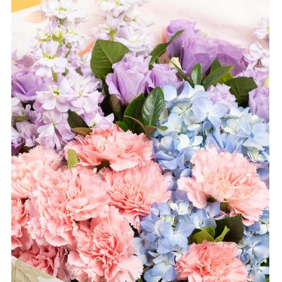 真的爱你-粉色康乃馨10枝，浅蓝色绣球1枝，浅紫色紫罗兰5枝（紫罗兰花期为12-4月，其他月份用粉色/浅紫金鱼草等相似线条状花材替代），浅紫洋桔梗6枝，栀子叶10枝