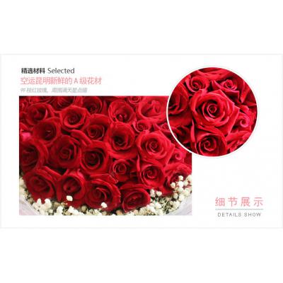 LOVE-99枝精品红玫瑰花束，满天星围绕