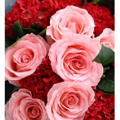 温馨思恋-红色康乃馨19枝，戴安娜粉玫瑰11枝，栀子叶1扎