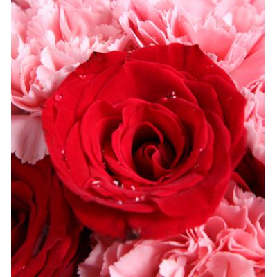 你的笑颜-康乃馨+玫瑰共22枝：13枝粉康乃馨，9枝红玫瑰，周边搭配适量绿叶。