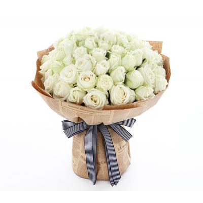 爱你如初-雪山玫瑰66枝