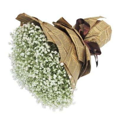 致青春-满天星一大扎