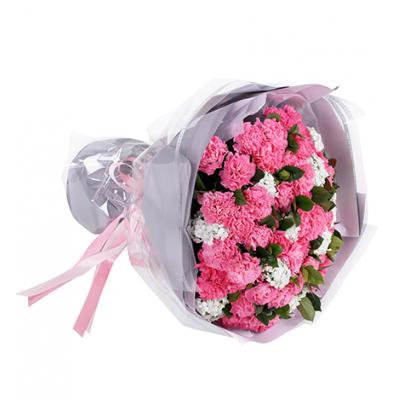 暖暖情意-粉色康乃馨66枝、栀子叶2扎、白色石竹梅0.5扎