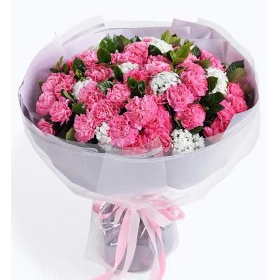 暖暖情意-粉色康乃馨66枝、栀子叶2扎、白色石竹梅0.5扎