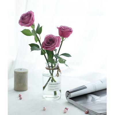 只对你有感觉-冷美人玫瑰50支