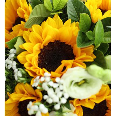 父爱如山-向日葵6枝，绿色洋桔梗6枝，栀子叶1扎，白色相思梅5枝
