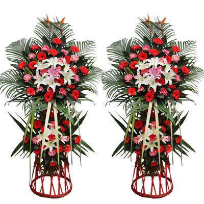 鸿基始创【单个】