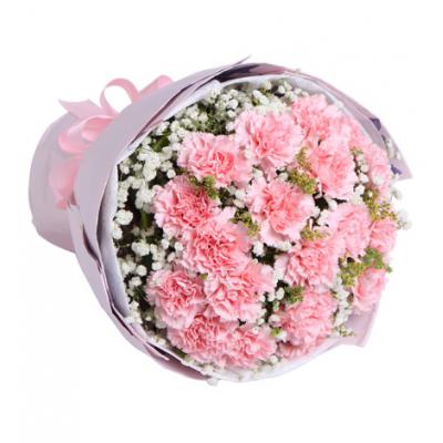 感恩密码-19枝粉康乃馨，满天星0.3扎，黄莺5枝