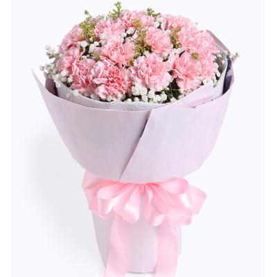 感恩密码-19枝粉康乃馨，满天星0.3扎，黄莺5枝