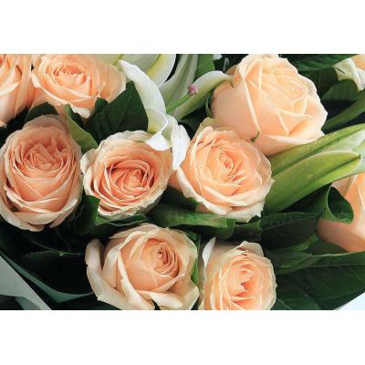 恋恋情深-11枝香槟玫瑰，多头白百合2枝，栀子叶8枝包 装：深浅绿双面人造纸2张，米白色缎带1.5米