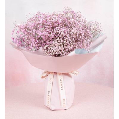 满天星-浅粉满天星1扎