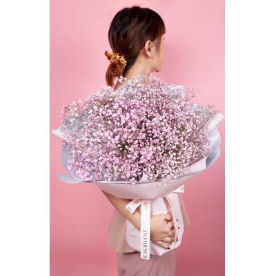 满天星-浅粉满天星1扎