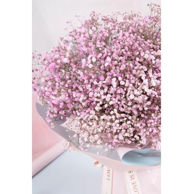 满天星-浅粉满天星1扎