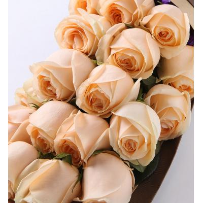 你最珍贵-高档礼盒装鲜花:香槟玫瑰19枝，勿忘我适量