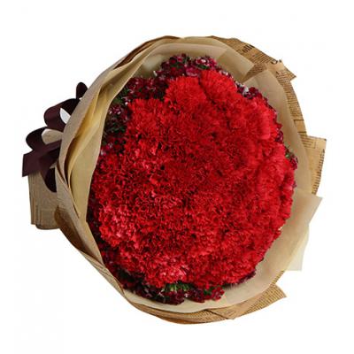 牵挂-红色康乃馨33枝，石竹梅15枝