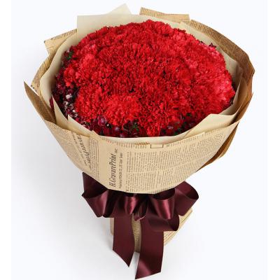 牵挂-红色康乃馨33枝，石竹梅15枝