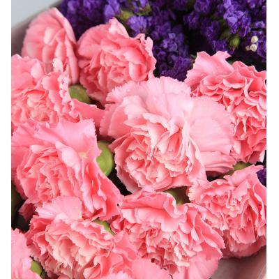 天使之祁-粉色康乃馨19枝，勿忘我0.3扎