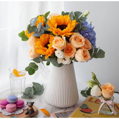 星河璀璨-香槟玫瑰9枝、蓝绣球、向日葵、白色洋桔梗、大叶尤加利