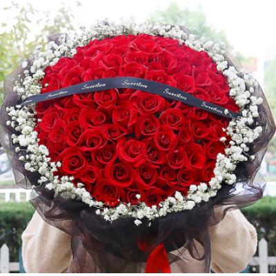 万千宠爱- 99朵红玫瑰，白色满天星丰满围边，黑色英文缎带搭配