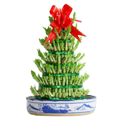 小型8层富贵塔盆栽