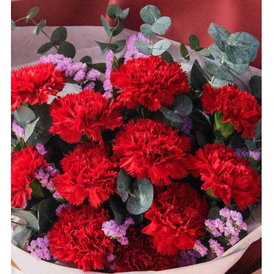 红色康乃馨11枝，粉色勿忘我3枝、尤加利10枝