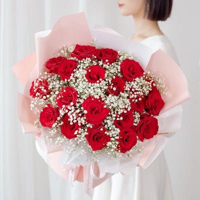 纯真天使- 19朵红玫瑰，白色满天星丰满间插