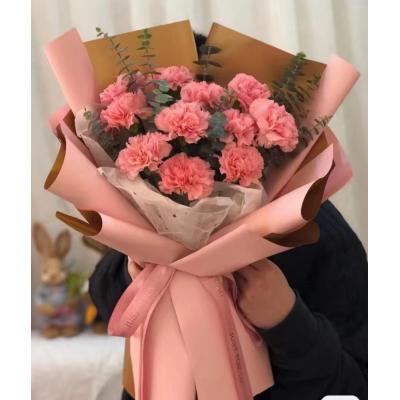 11朵粉康/母亲节/妇女节/送长辈