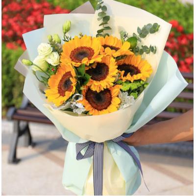 旗开得胜-6朵向日葵加尤加利