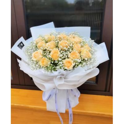 守护甜心-11朵香槟玫瑰加白色满天星