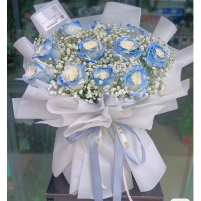 11朵碎冰蓝玫瑰